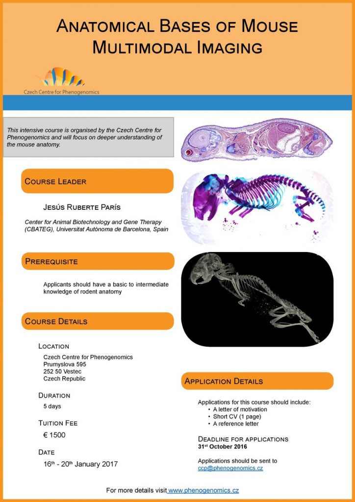Anatomical Bases of Mouse Multimodal Imaging advert-small