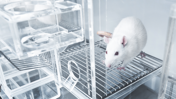 Genotyping and Breeding