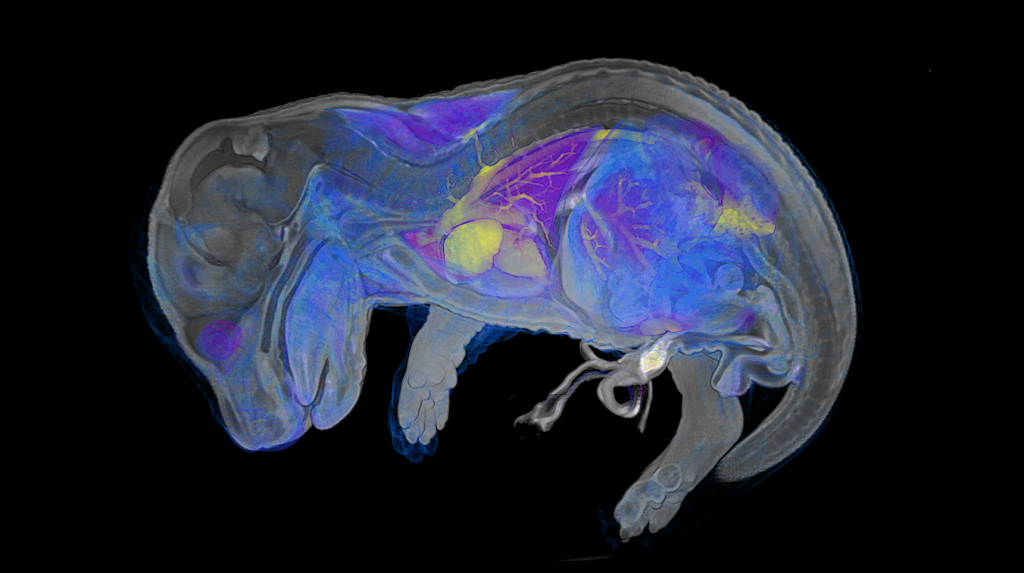 Phenotyping