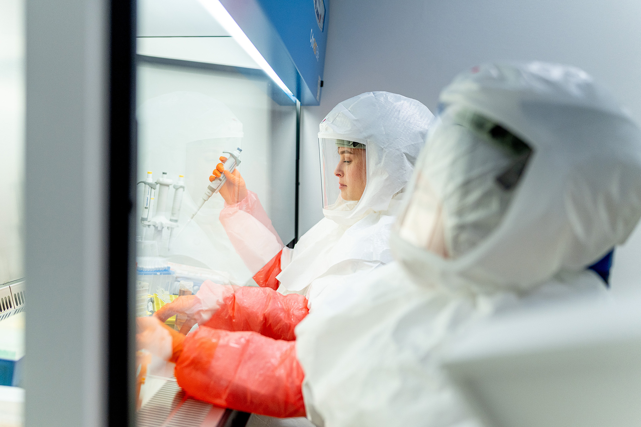 New Czech laboratory for research on lethal viruses Czech Centre for Phenogenomics
